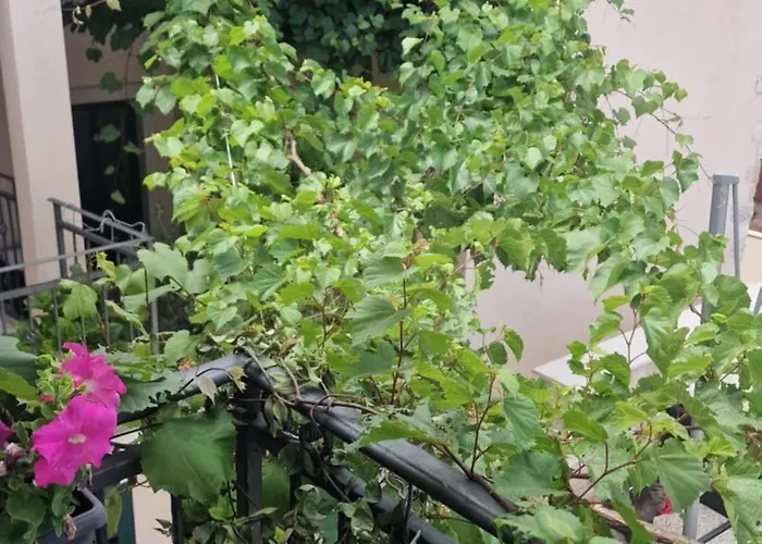 Ante 1 Hvar Center, Pool Lägenhet