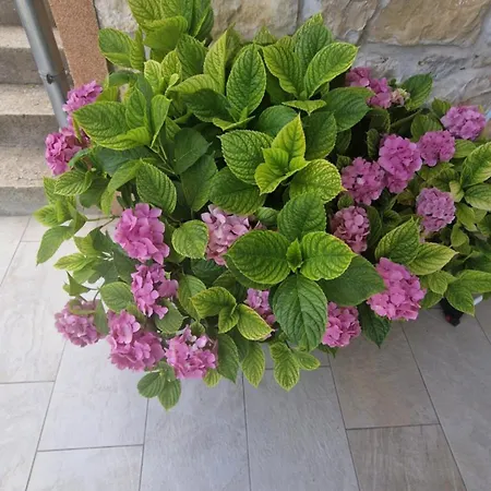 아파트 Ante 1 Hvar Center, Pool 흐바르