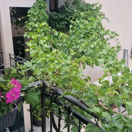 Ante 1 Hvar Center, Pool Appartement